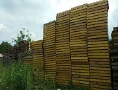 Sự phổ biến của pallet gỗ keo tại miền Bắc Việt Nam